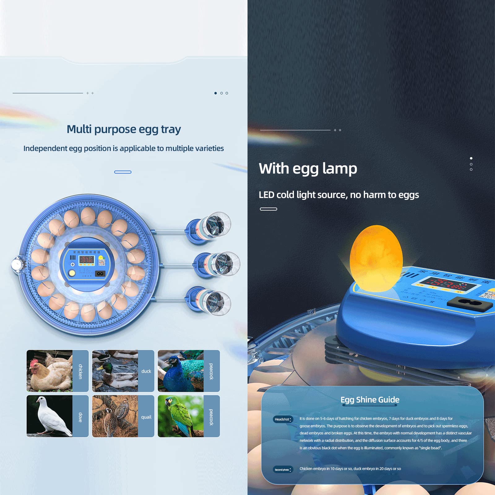 Amazon.com: BSNANCA Egg Incubator, 26 Egg Incubators for Hatching